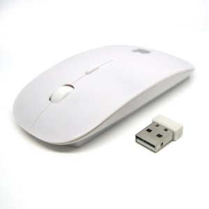 Rat&oacute;n Inal&aacute;mbrico/Wireless Mouse