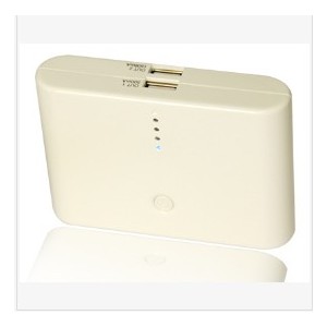 ZWT-01-8800 mAh Dos USB Outputs Cargador Port&aacute;til de bater&iacute;a
