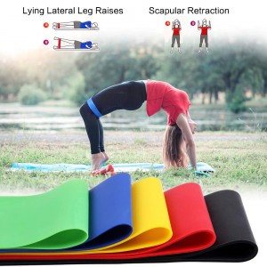 GZW-SHOP Bandas El&aacute;sticas de Resistencia para Ejercicio y Terapia F&iacute;sica, Pilates, Yoga, Mejorar la Movilidad y la Fuerza